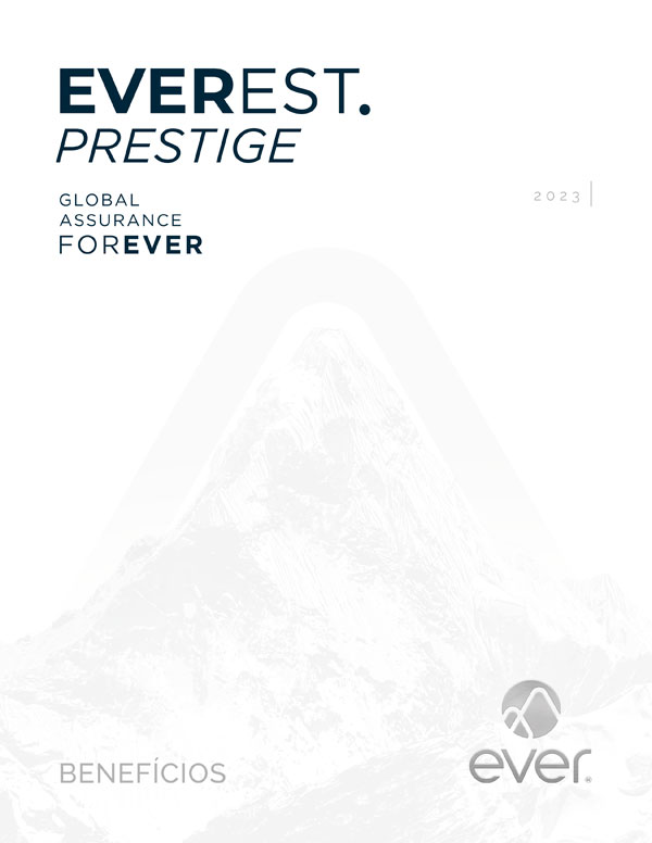 everest-bra