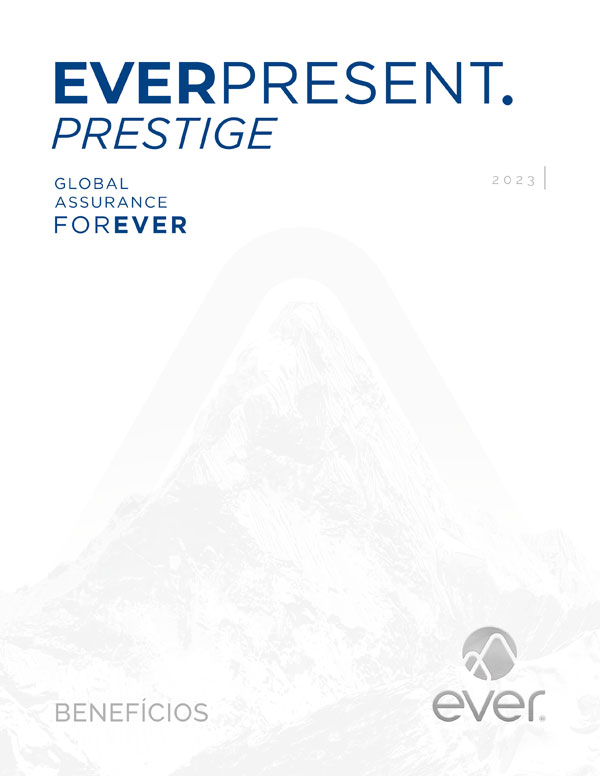 everpresent-bra